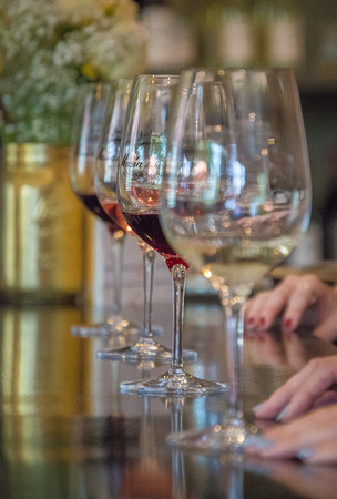 Masia de la Vinya Winery