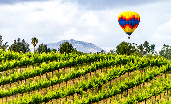 Balloon rising over Winery Country, Temecula, CA - 2016