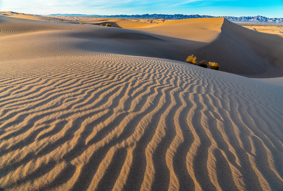 Glamis sand dunes